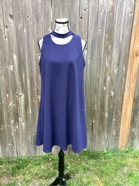 Taylor Sleeveless Navy Blue Mini Dress with High Neck Cutout
